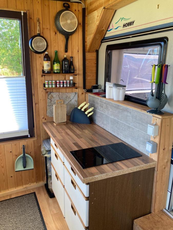 Tiny House Anneliese Hunde Okay Villa Oberbettingen ภายนอก รูปภาพ